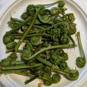 Fiddleheads - Quart Size Bag (1/4 lb)